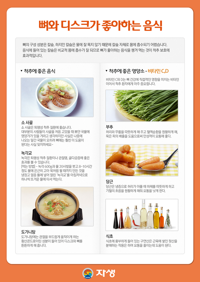 뼈와 디스크가 좋아하는 음식에 대한 다음 설명을 참조하세요.