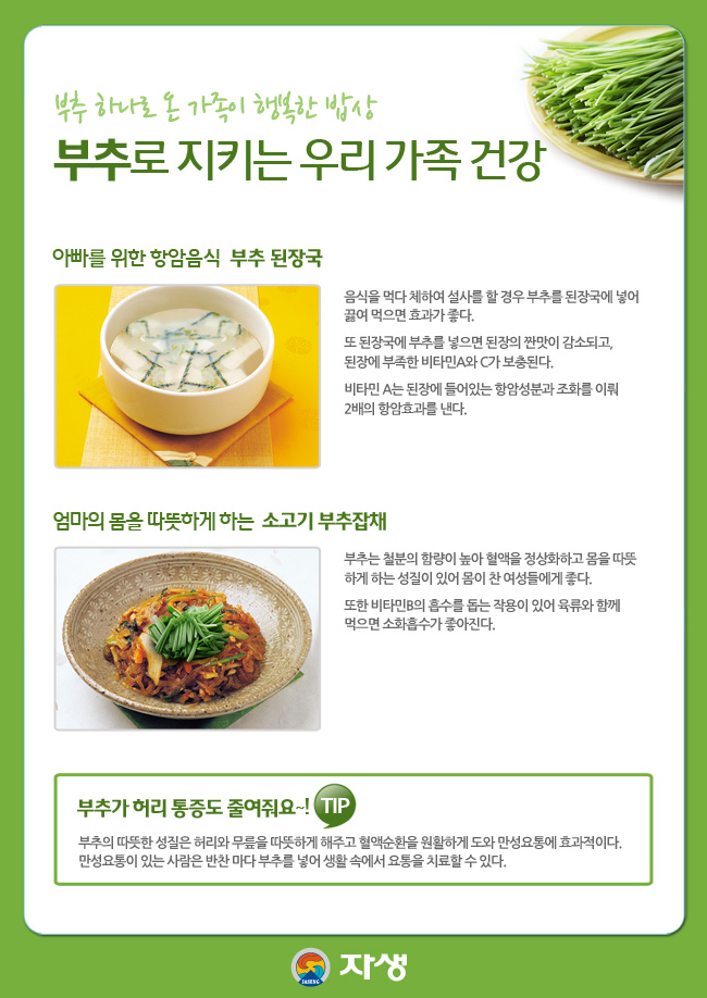 자생한방병원 건강정보 - 부추의 효능에 대한 다음 설명을 참조하세요.