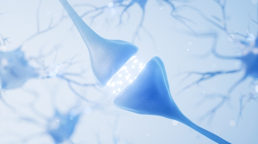 부족한 몸의 진액 (호르몬 등)