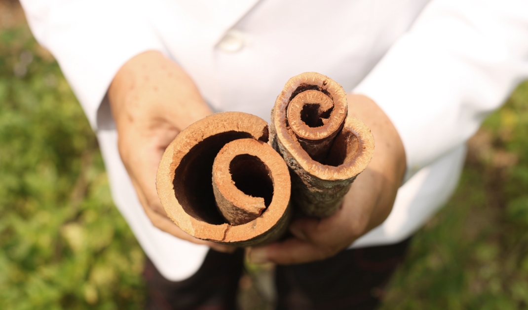 깐깐하고 꼼꼼하게 선별한 최상급 약재