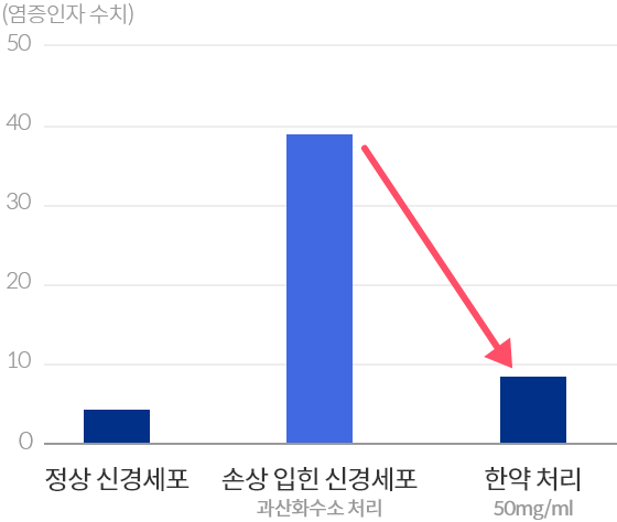 신경세포 염증 억제 효과
