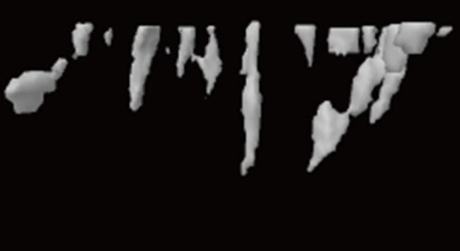 골다공증 유발 쥐