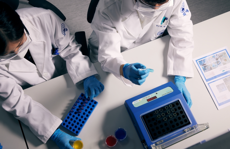 연구실에서 연구원들이 연구하는 모습