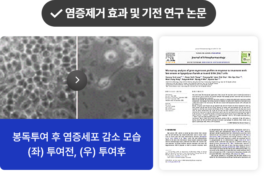 염증제거 효과 및 기전 연구 논문 , 봉독 투여 후 염증세표 감소한 사진
